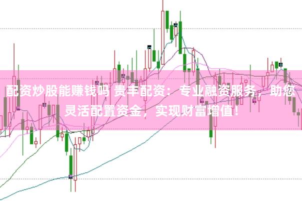 配资炒股能赚钱吗 贵丰配资：专业融资服务，助您灵活配置资金，实现财富增值！