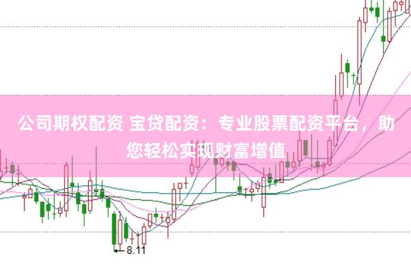 公司期权配资 宝贷配资：专业股票配资平台，助您轻松实现财富增值
