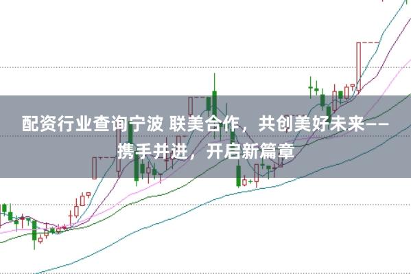 配资行业查询宁波 联美合作，共创美好未来——携手并进，开启新篇章