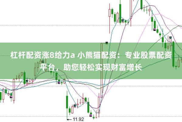 杠杆配资涨8给力a 小熊猫配资：专业股票配资平台，助您轻松实现财富增长