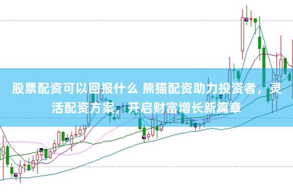 股票配资可以回报什么 熊猫配资助力投资者，灵活配资方案，开启财富增长新篇章