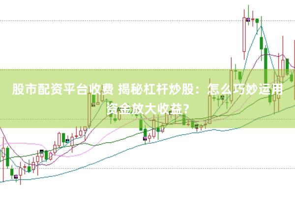 股市配资平台收费 揭秘杠杆炒股：怎么巧妙运用资金放大收益？