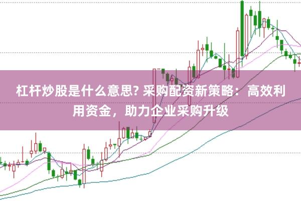 杠杆炒股是什么意思? 采购配资新策略：高效利用资金，助力企业采购升级