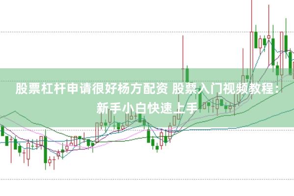 股票杠杆申请很好杨方配资 股票入门视频教程：新手小白快速上手