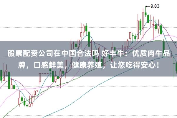 股票配资公司在中国合法吗 好丰牛：优质肉牛品牌，口感鲜美，健康养殖，让您吃得安心！