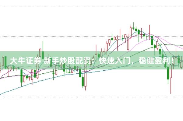 大牛证券 新手炒股配资：快速入门，稳健盈利！
