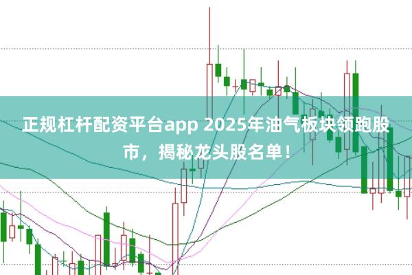 正规杠杆配资平台app 2025年油气板块领跑股市，揭秘龙头股名单！
