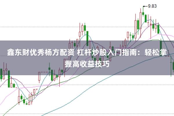 鑫东财优秀杨方配资 杠杆炒股入门指南：轻松掌握高收益技巧