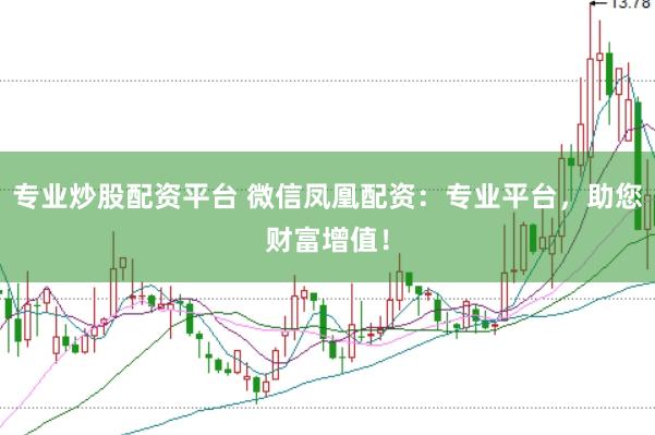 专业炒股配资平台 微信凤凰配资:专业平台,助您财富增值!